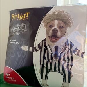 XL Spirit Beetlejuice Dog Costume